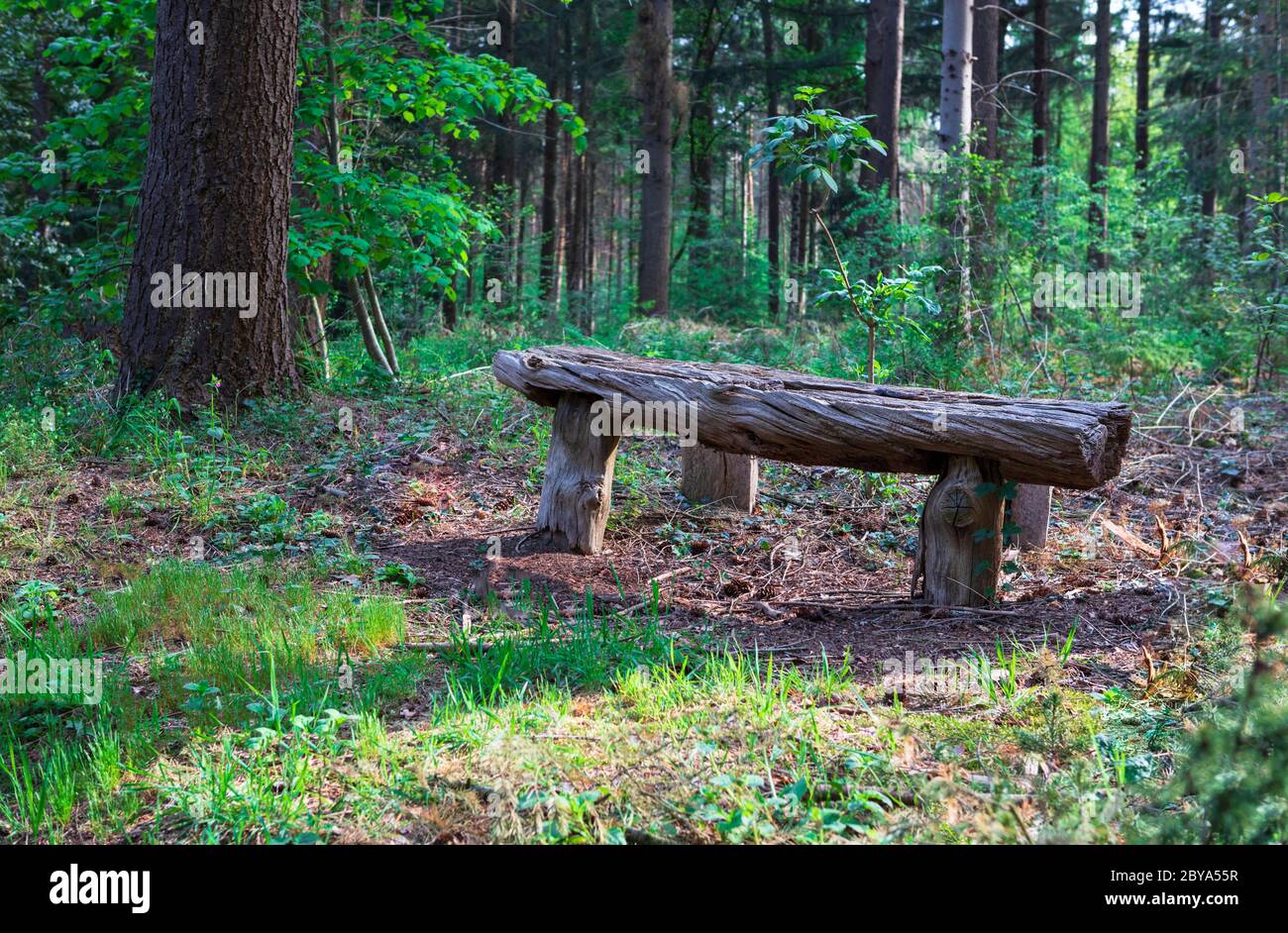 Bench in wild hi-res stock photography and images - Alamy