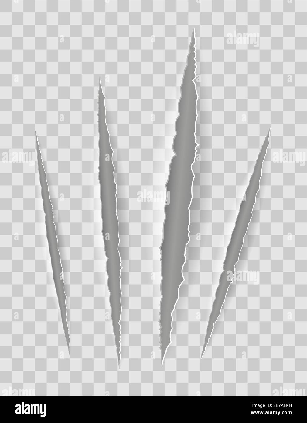 scratch claw cuts paper with transparent shadows for design vector ...
