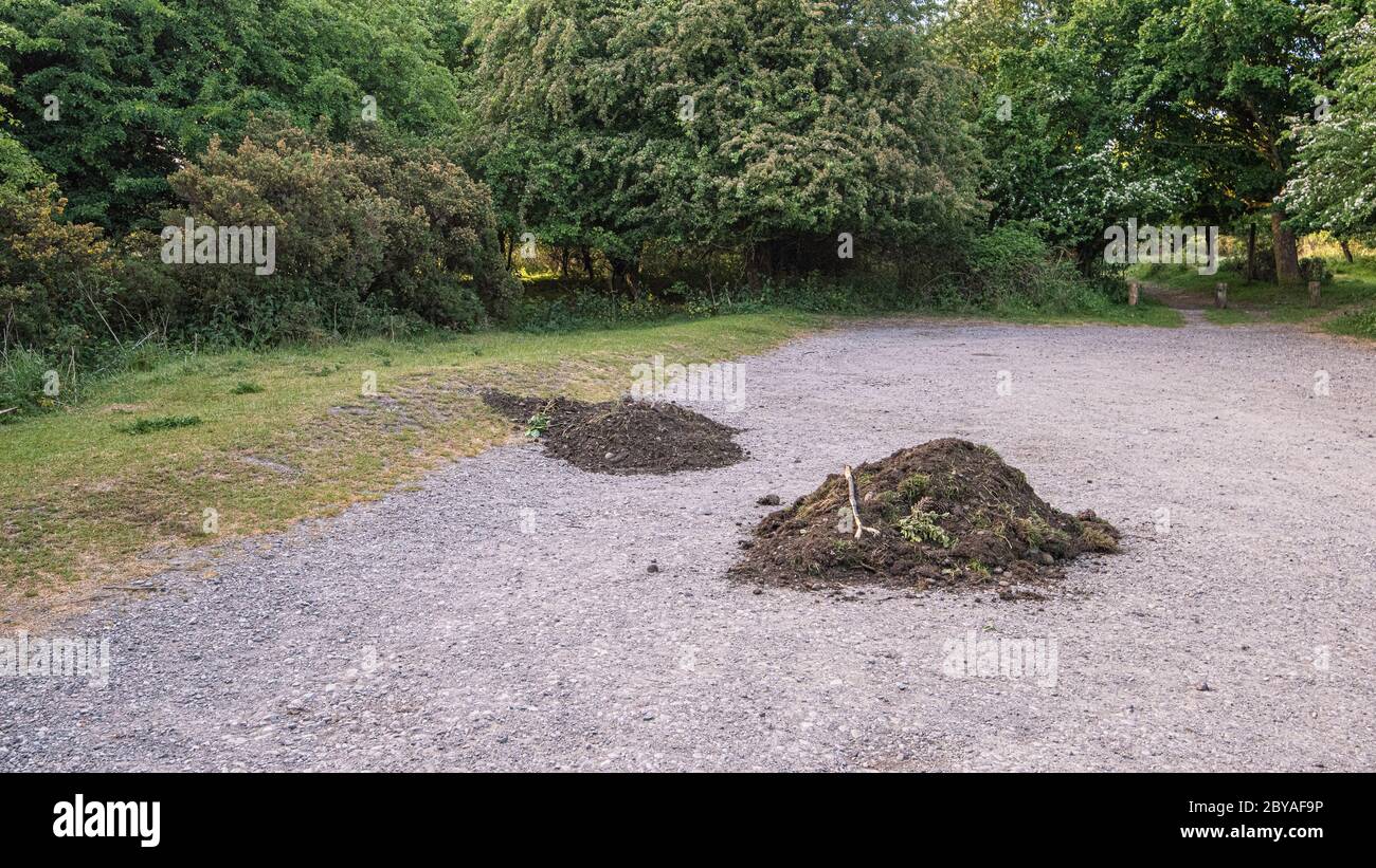 Soil pollution hi-res stock photography and images - Alamy