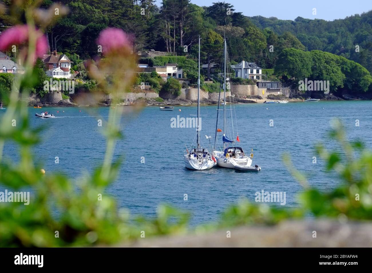 Sailing boats in Salcombe Estuary, looking to East Portlemouth, Devon, England, UK Stock Photo