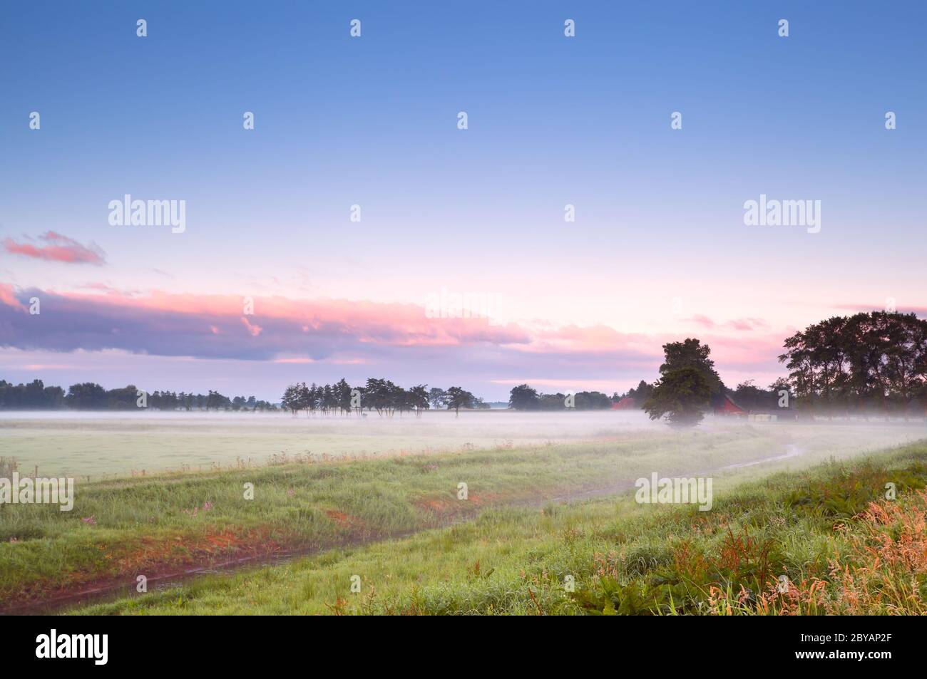 Meadow in fog at sunrise hi-res stock photography and images - Alamy