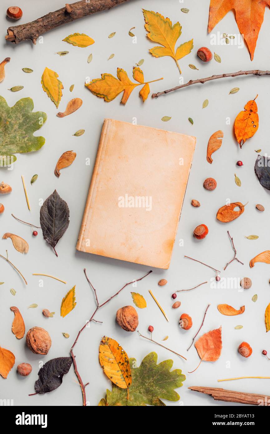 Vintage open book cover mock up with autumn decoration, flat lay top view copy space Stock Photo
