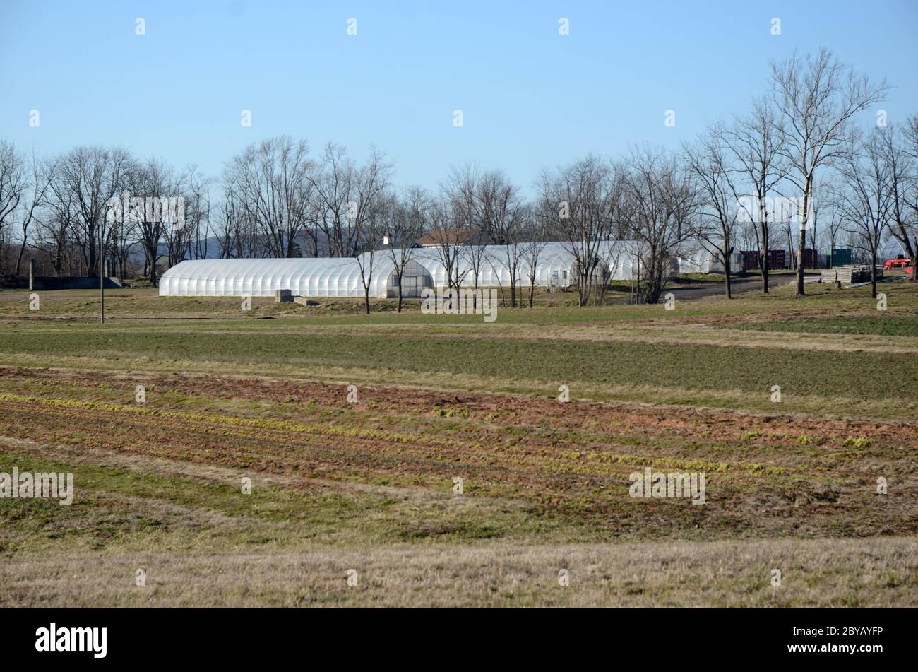 ORGANIC HOUSE Several tent agricultural greenhouses sit on a farm in