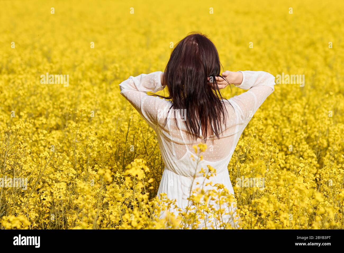 Young woman in a white dress standing in a rapeseed field. Blooming ...