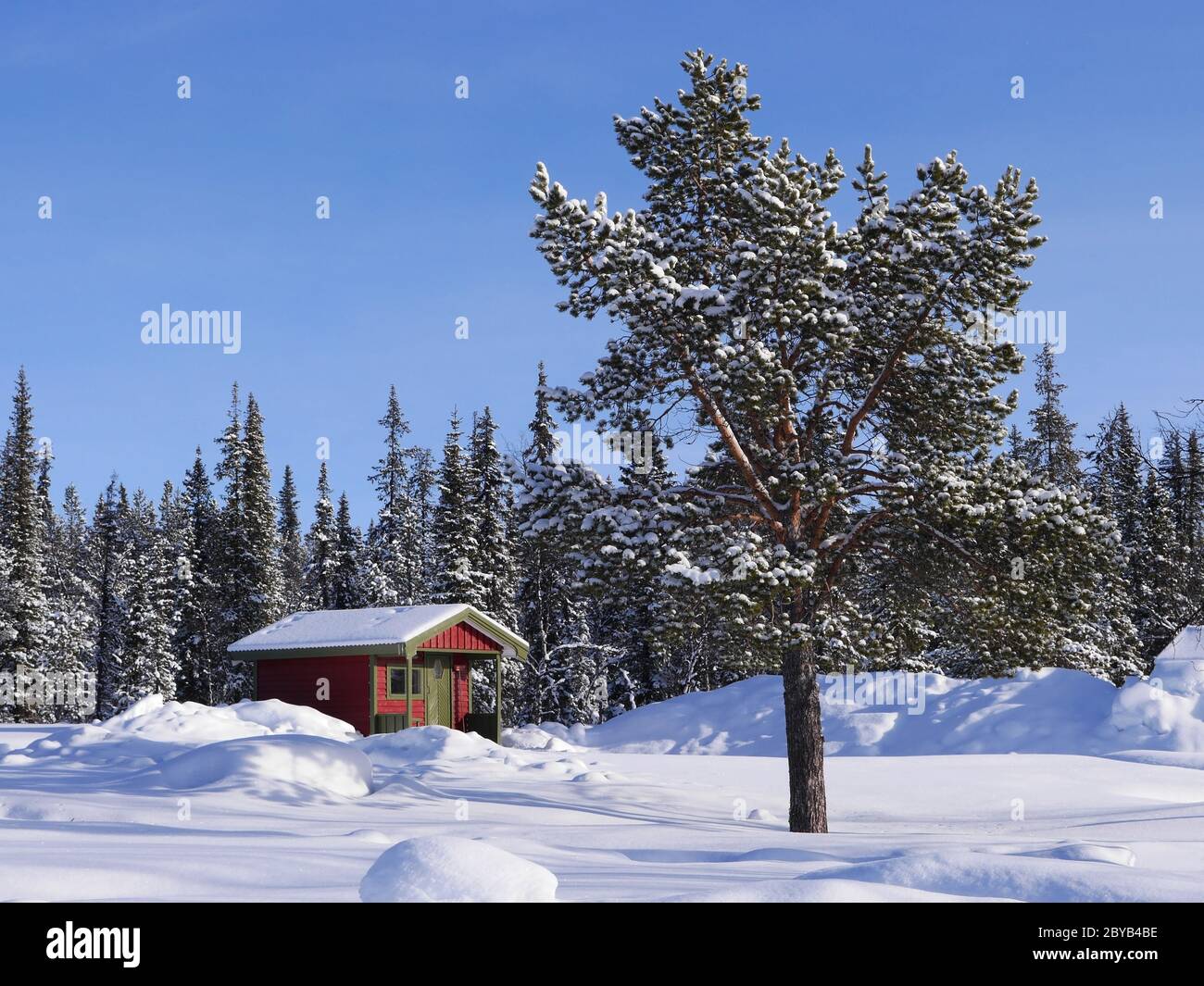 winter in lapland Stock Photo - Alamy