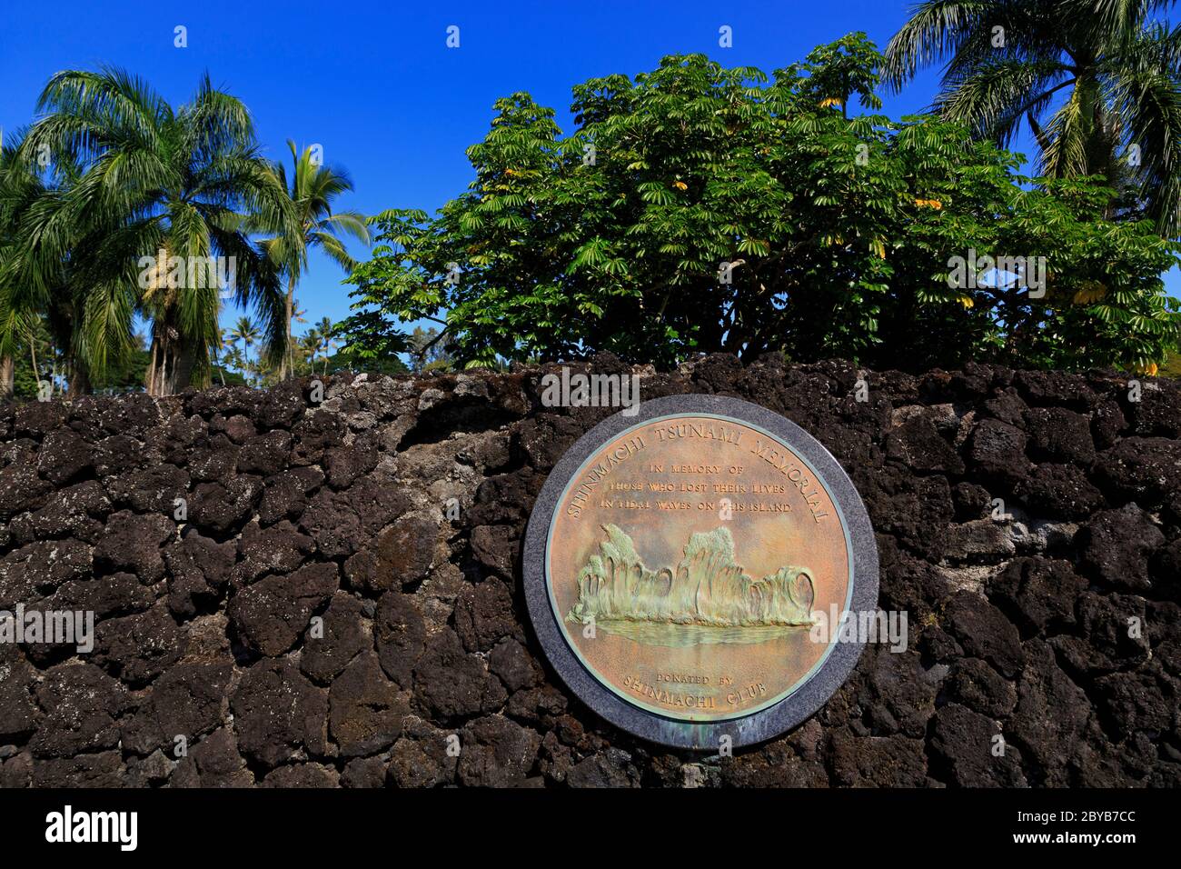 Live tsunami hilo hawaii