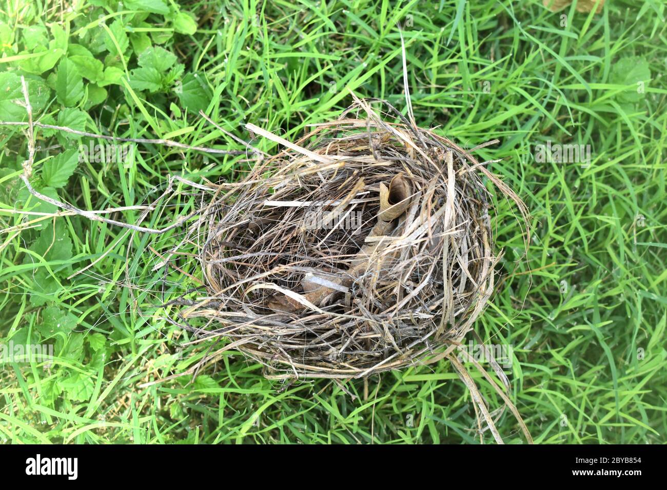 Straw tree tornado hires stock photography and images Alamy