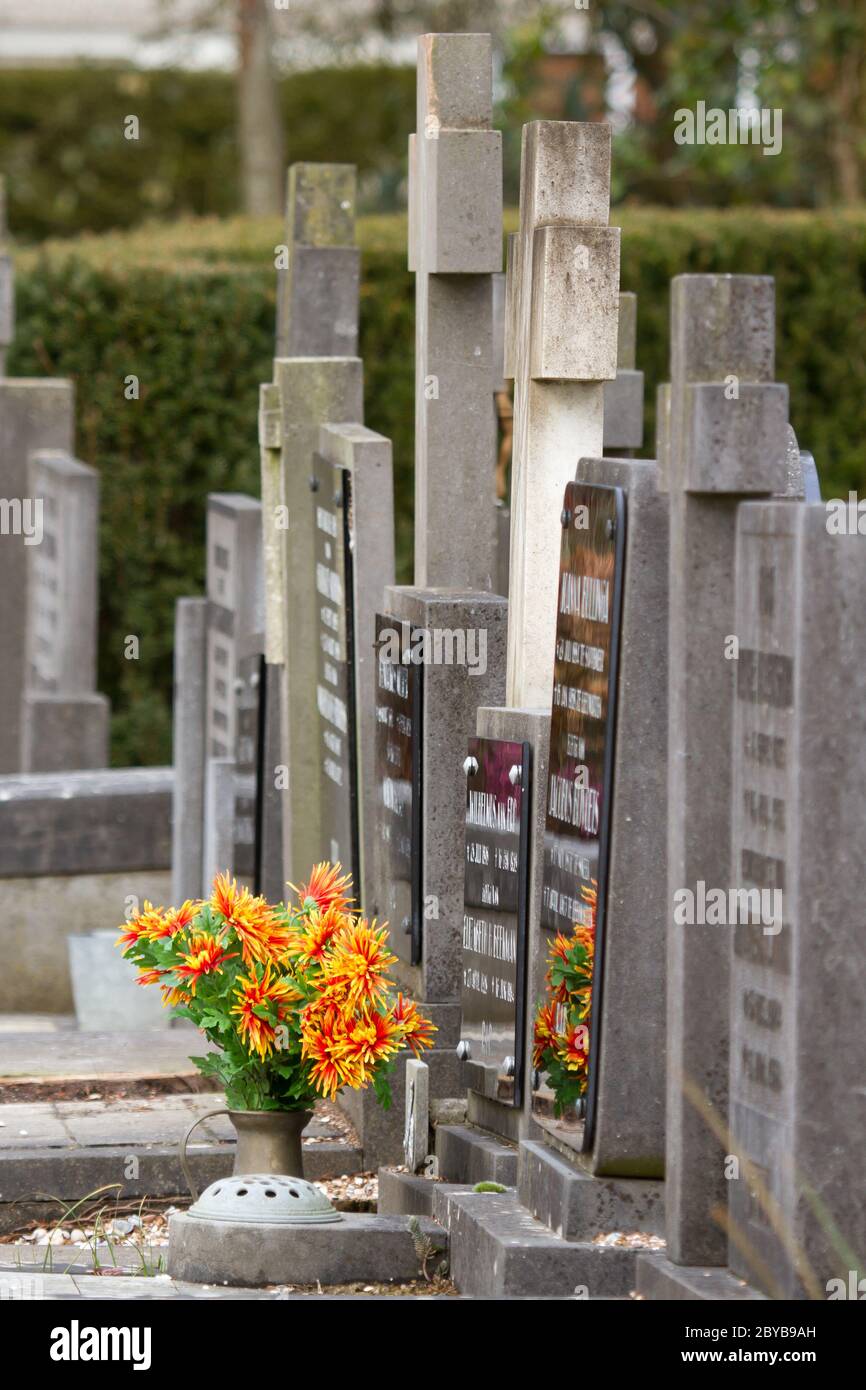 Fresh flowers on a grave Stock Photo Alamy