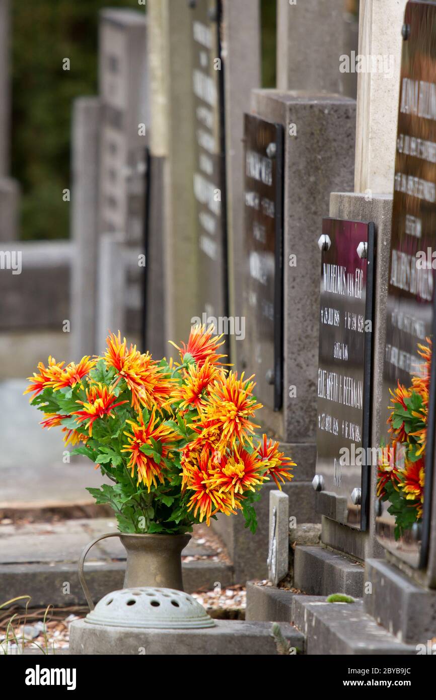 Fresh flowers on a grave Stock Photo Alamy