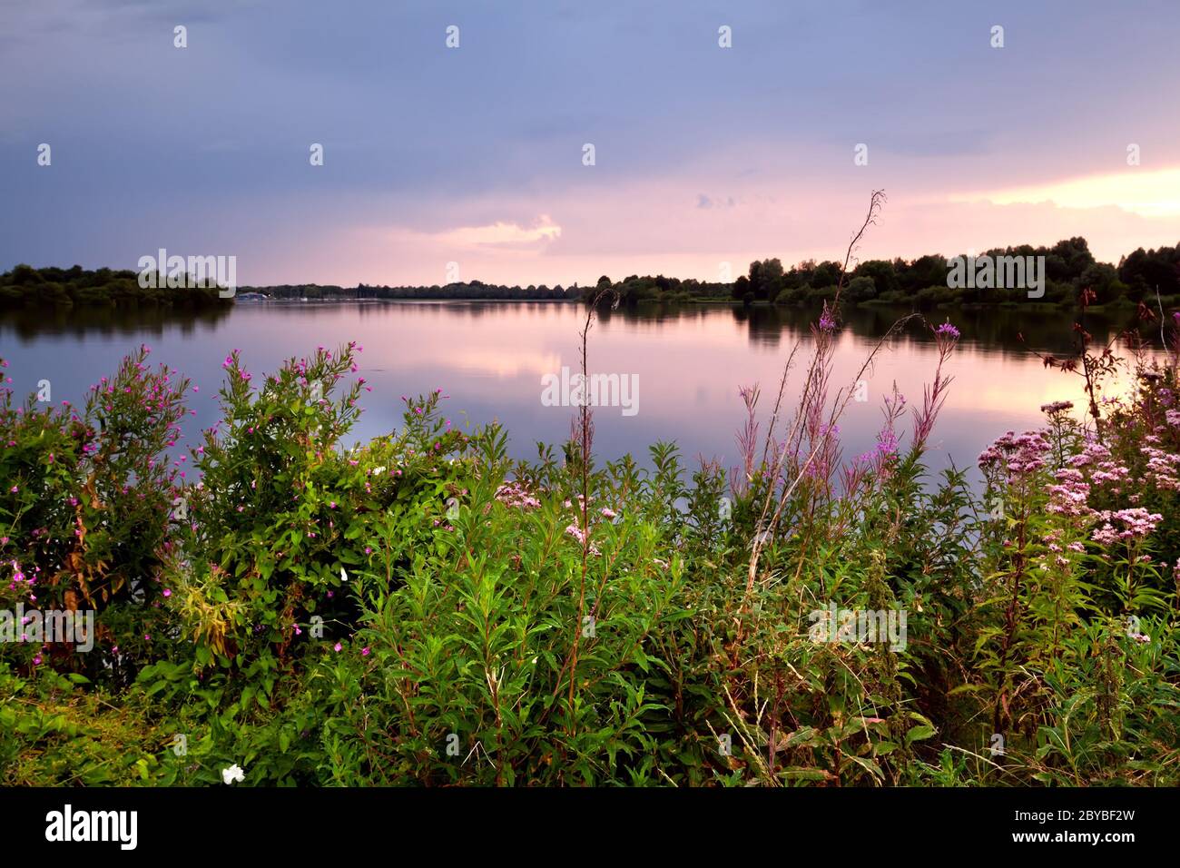 Summer wildflowers hi-res stock photography and images - Alamy