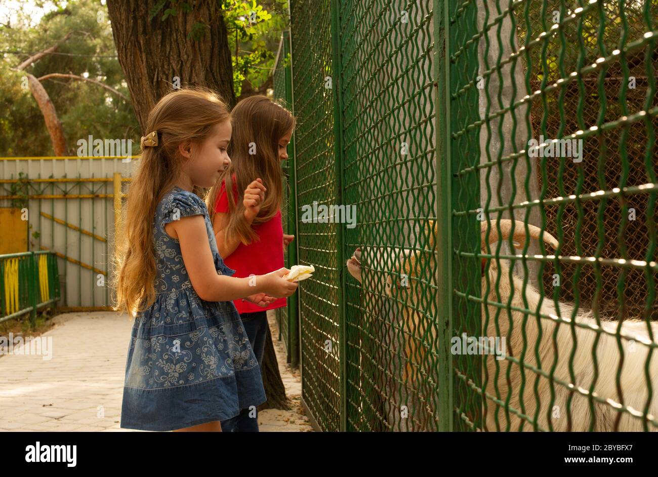 Bloody brazil teen zoo. Две девочки в зоопарке. Девочка в зоопарке. Картинка двух девочек в зоопарк. Две девочки в зоопарке картинка для детей.