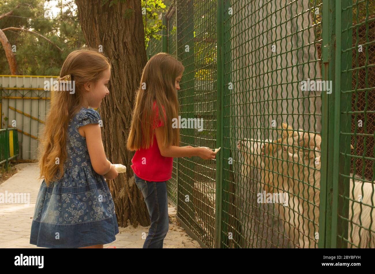 Zoo animals different together hi-res stock photography and images - Alamy