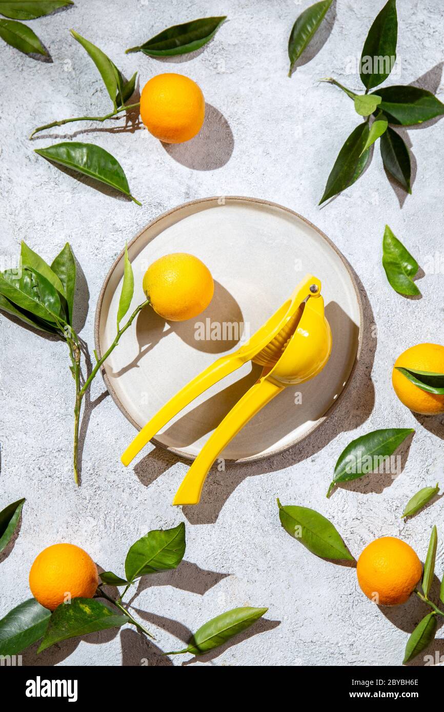Whole oranges with orange tree leaves around plate and juicer top view