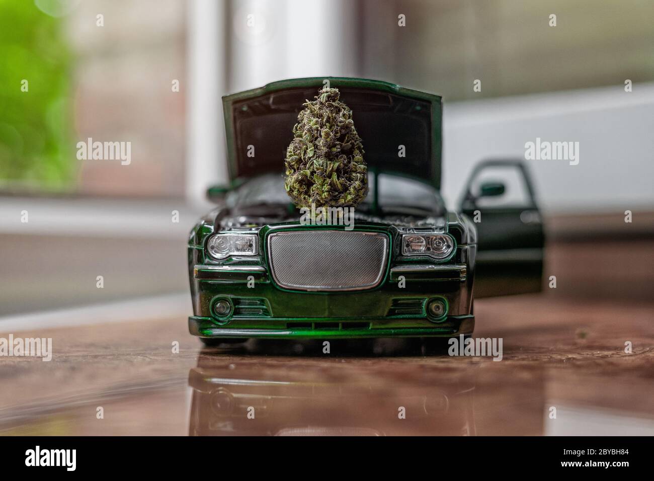 Large trichomes bud of marijuana under the hood of a small car model. Cannabis girl scout cookies, creative Stock Photo