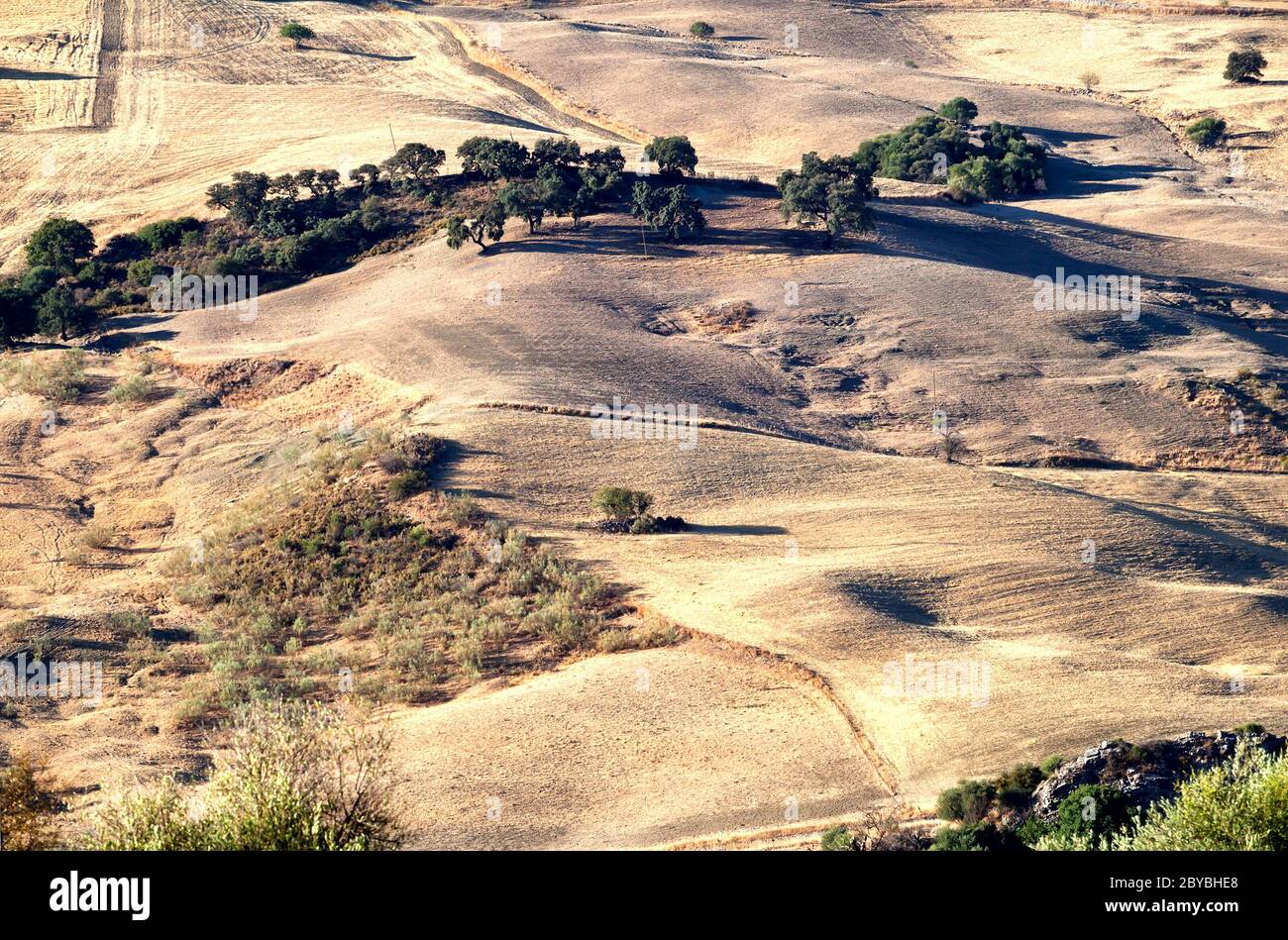 Typical rural hi-res stock photography and images - Alamy