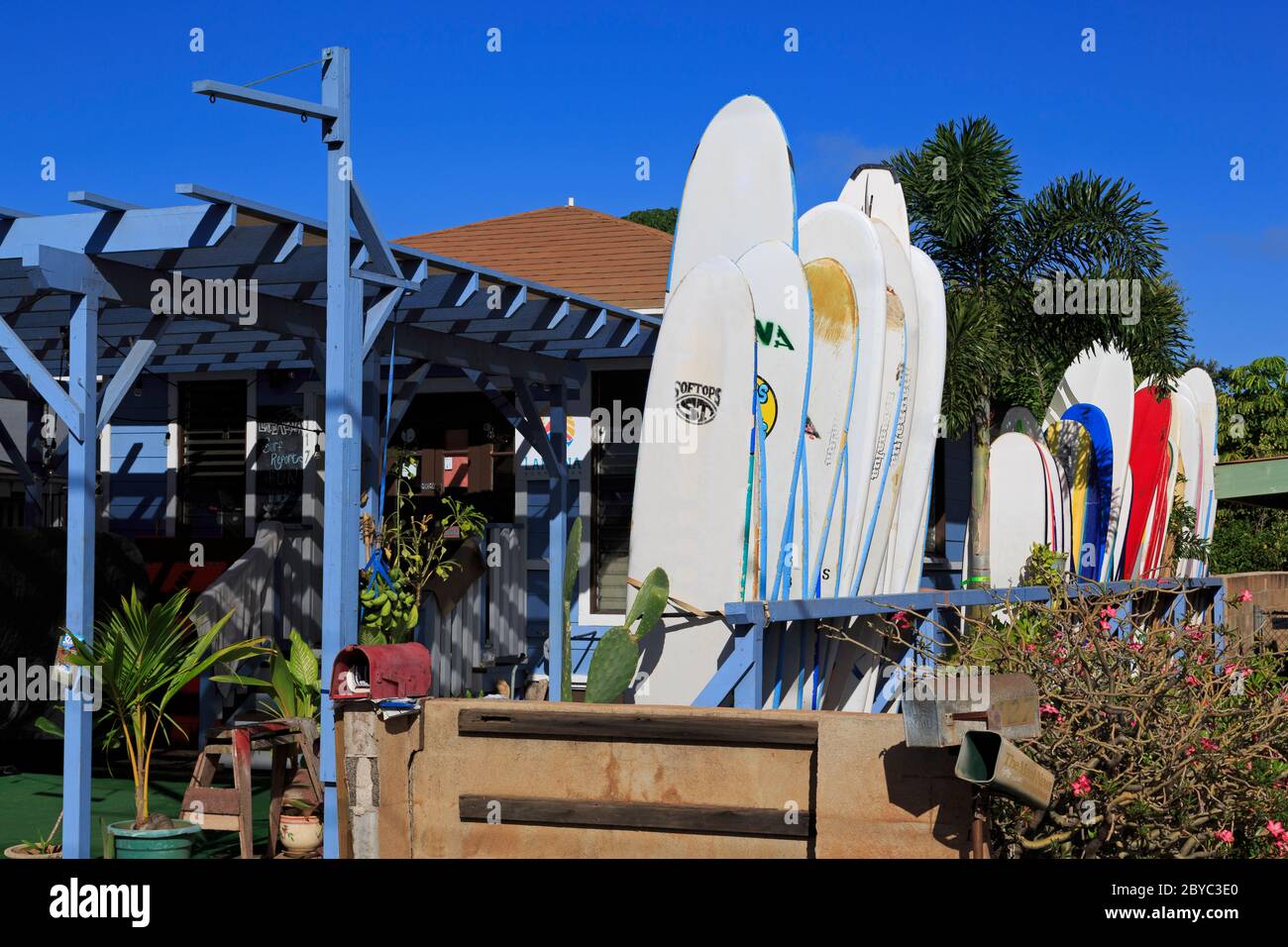 Surfboard rental store, Lahaina, Maui Island, Hawaii, USA Stock Photo