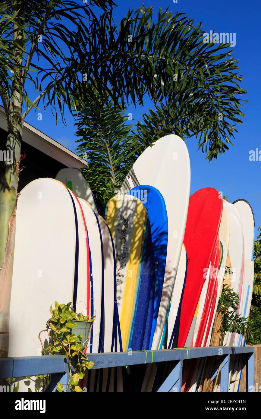 Surfboard rental store, Lahaina, Maui Island, Hawaii, USA Stock Photo