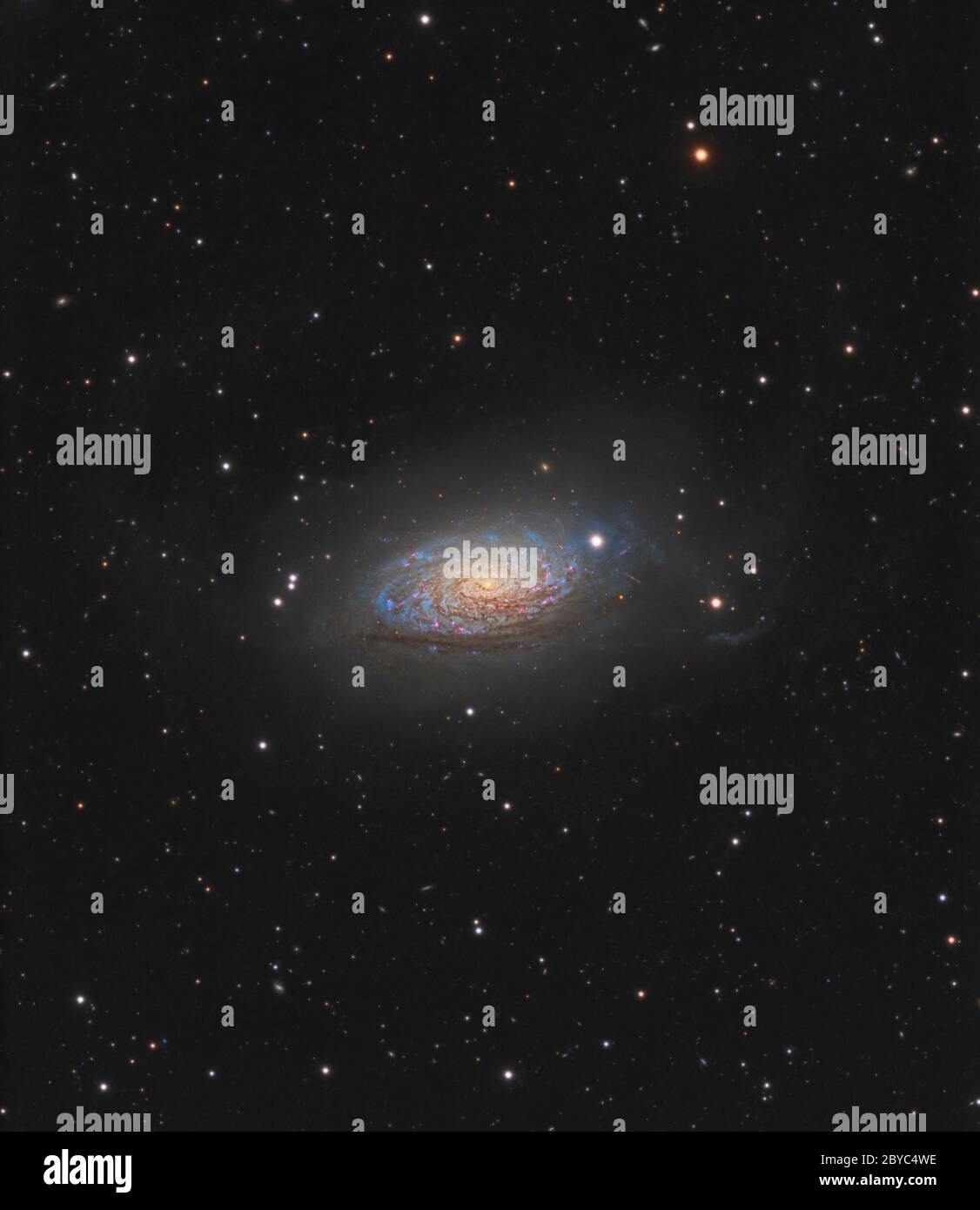 Sunflower galaxy hi-res stock photography and images - Alamy