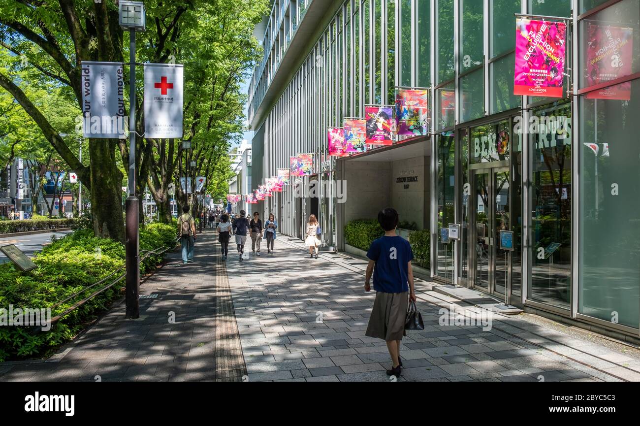 Crowd of pedestrian at Omotesando street sidewalk, Tokyo, Japan Stock