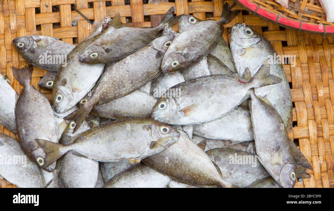 Fresh fish seafood Stock Photo - Alamy