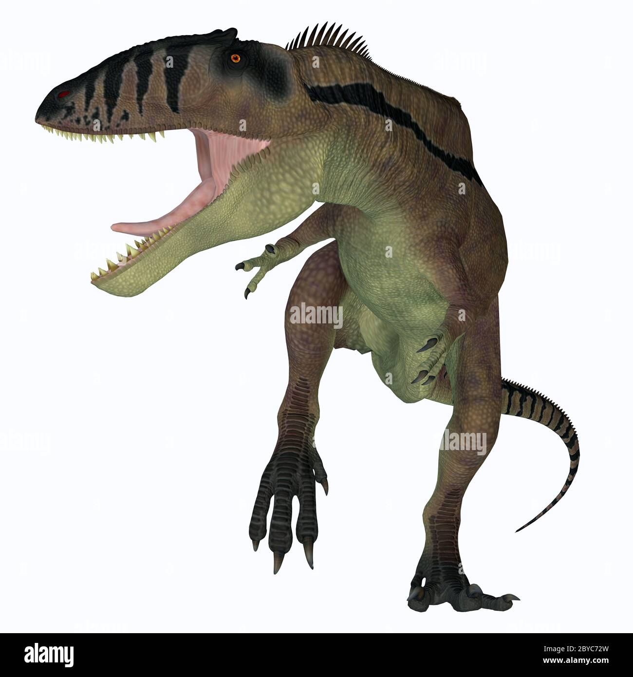 My Image 24
