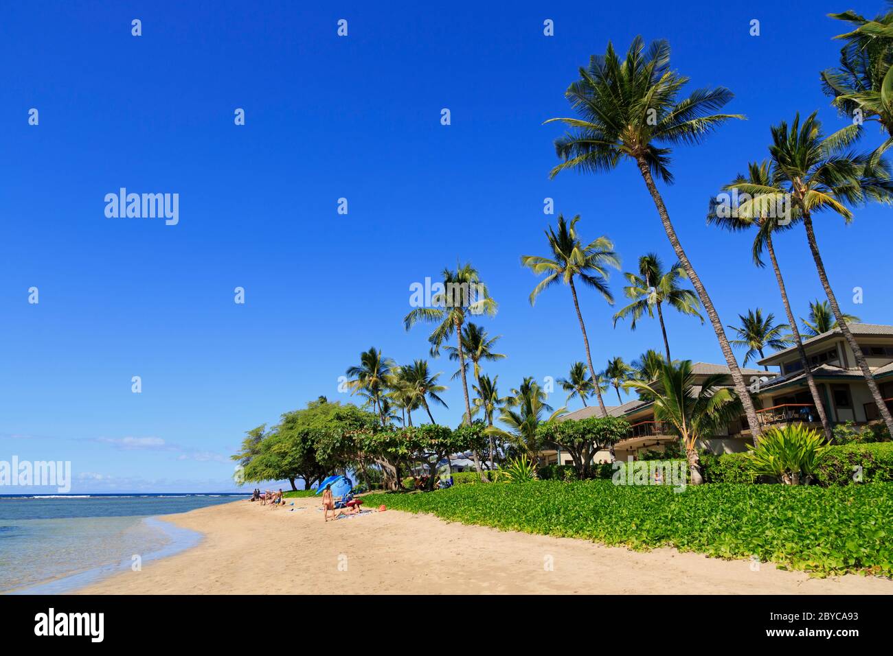 Baby Beach Lahaina Maui Island Hawaii Usa Stock Photo Alamy