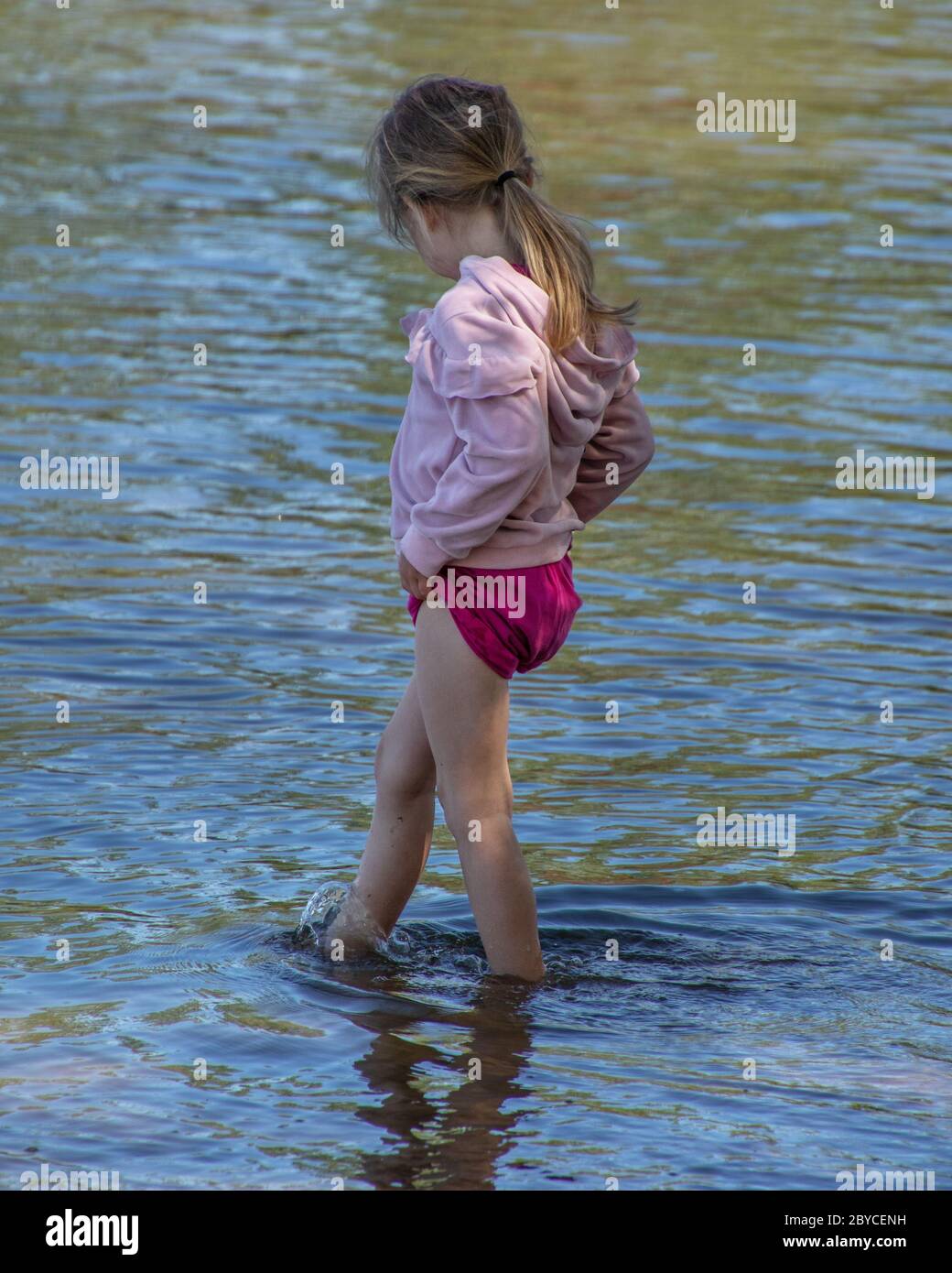 Wading in the Water Stock Photo
