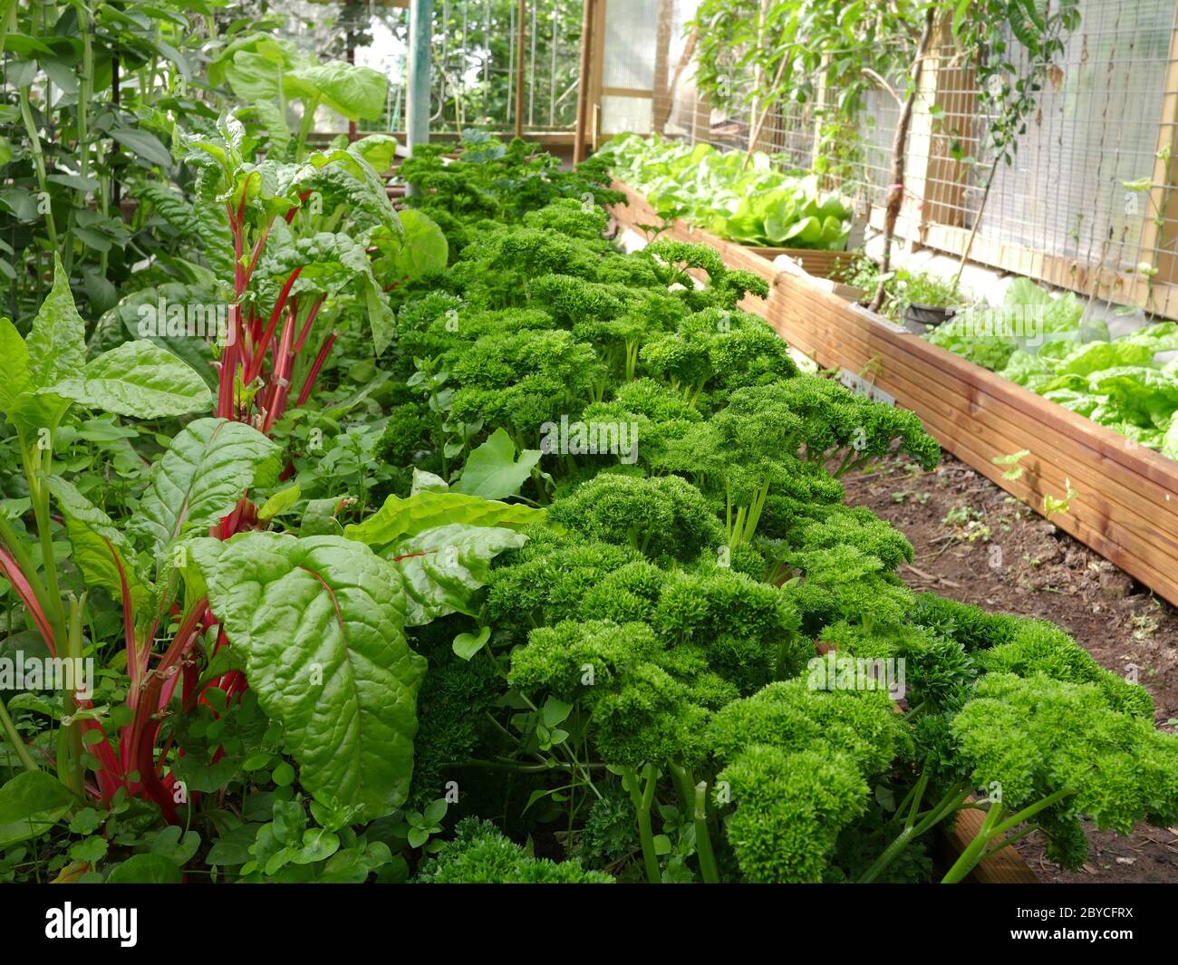 Herb Plot High Resolution Stock Photography and Images - Alamy