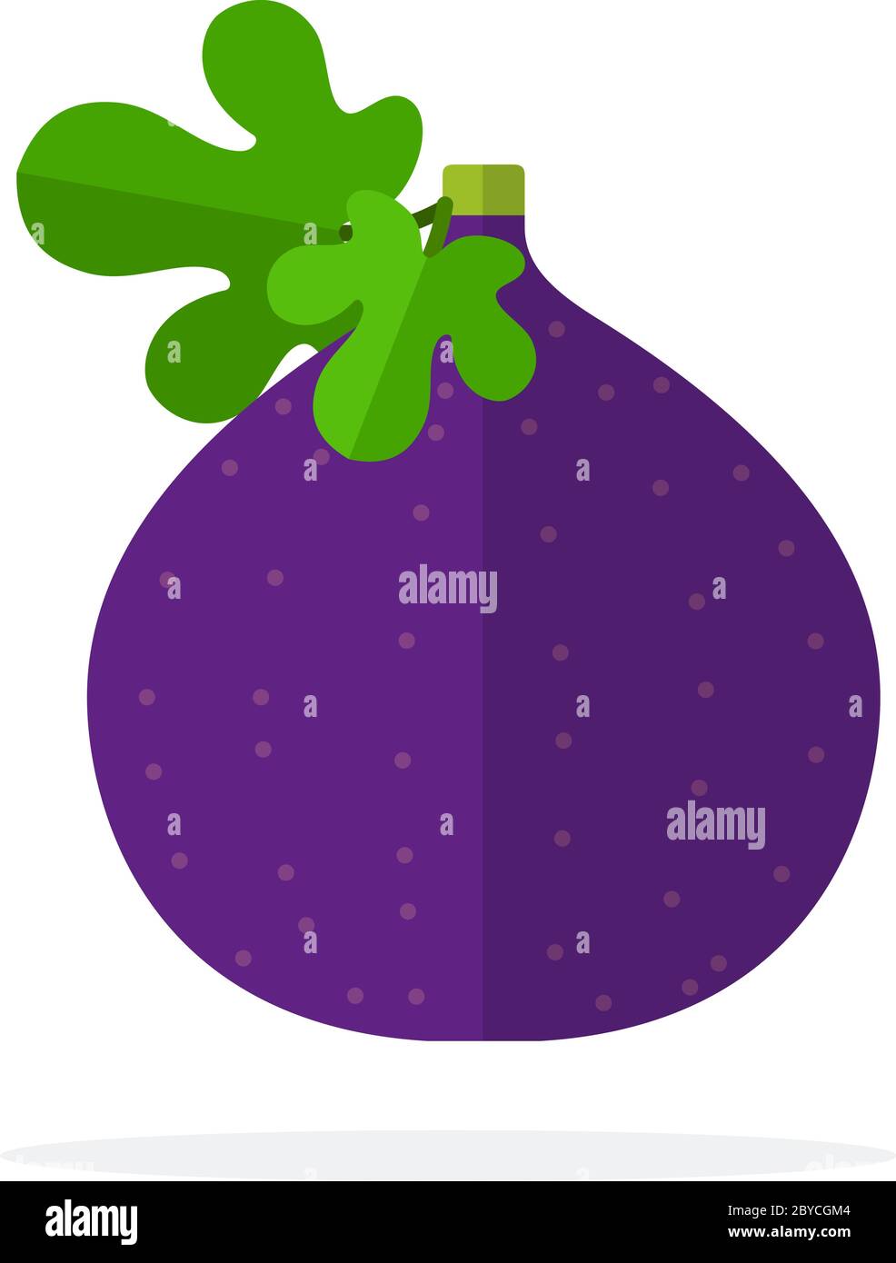 Whole fig fruit with leaves flat isolated Stock Vector