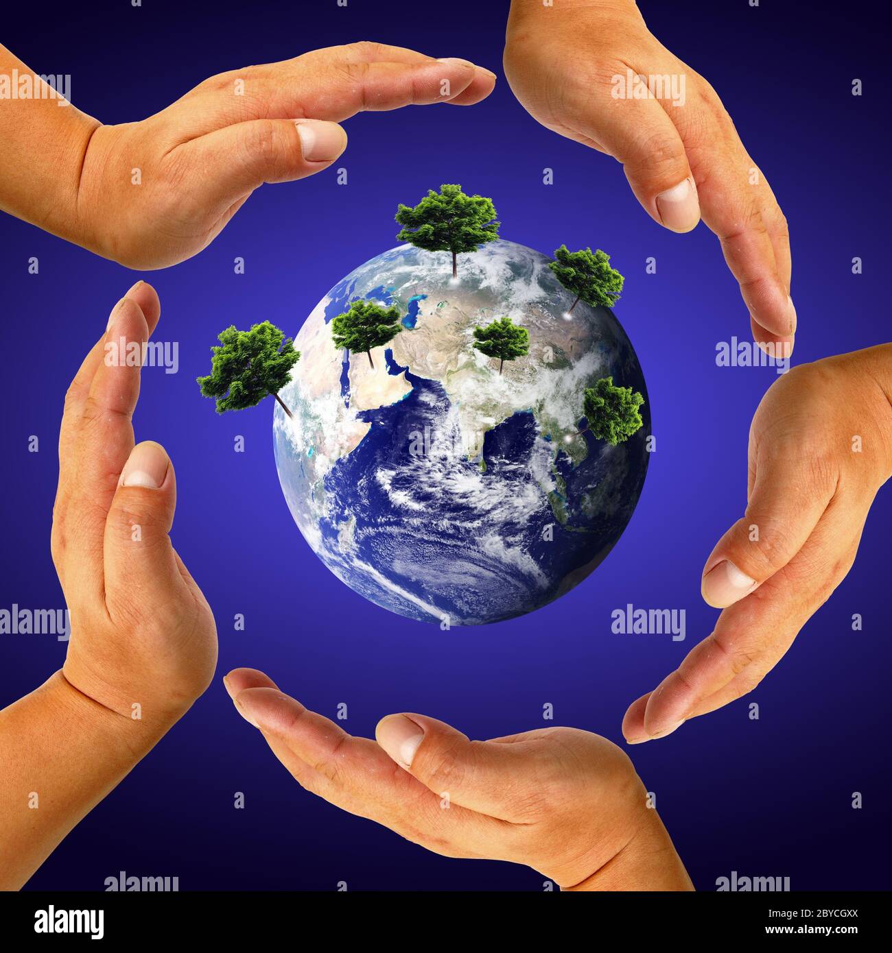 Earth with tree in hand Stock Photo - Alamy