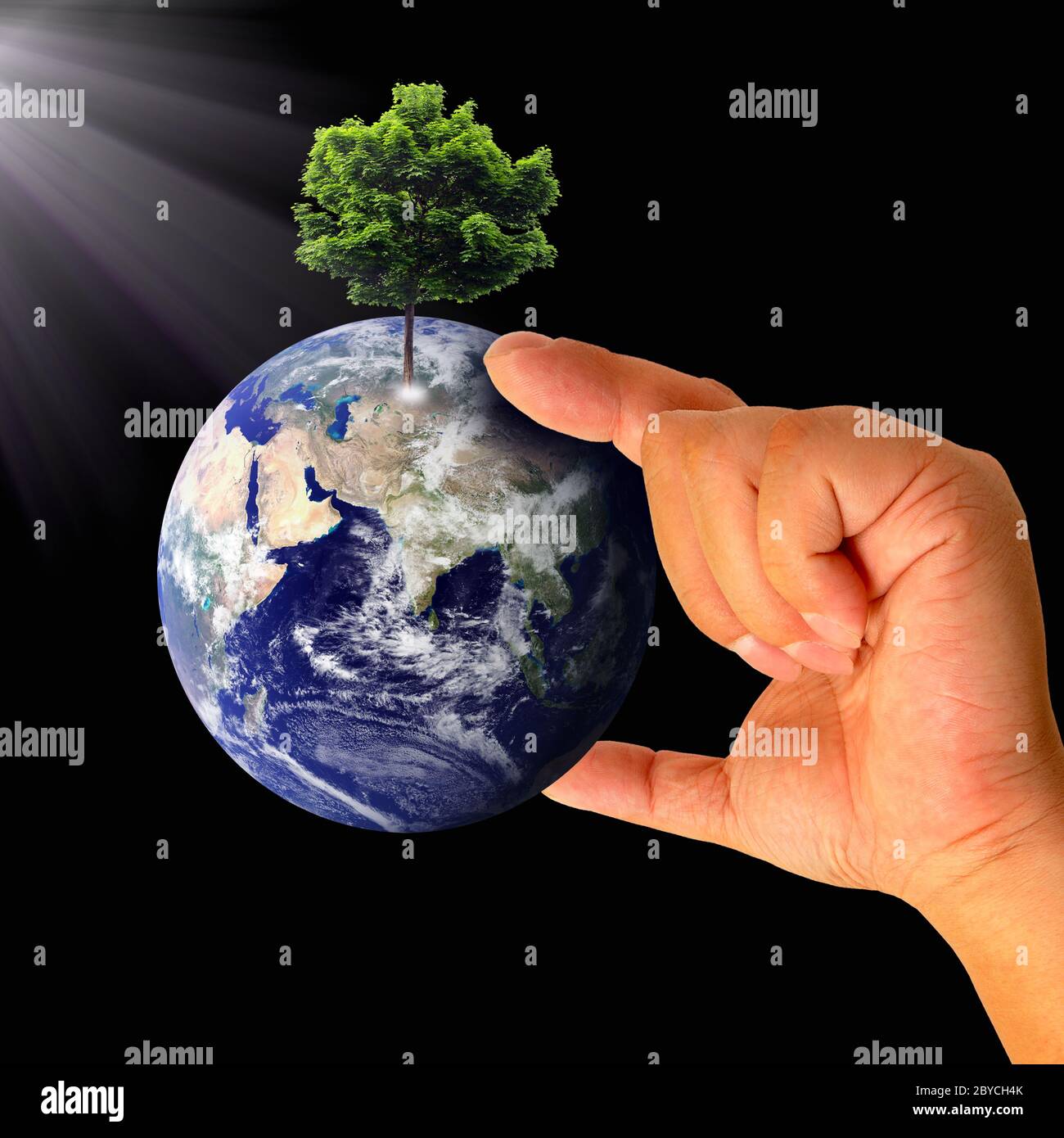 Earth with tree in hand Stock Photo - Alamy