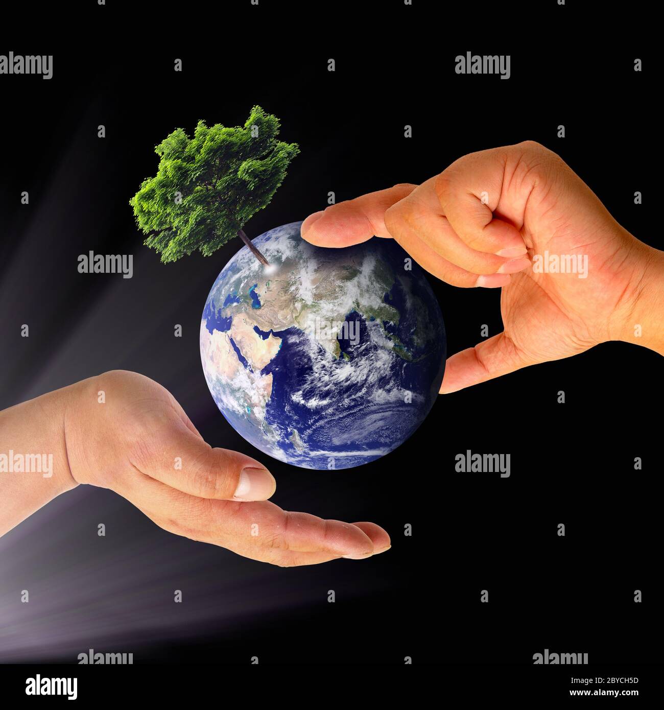 Tree Earth Hand Earth with tree in hand Stock Photo - Alamy