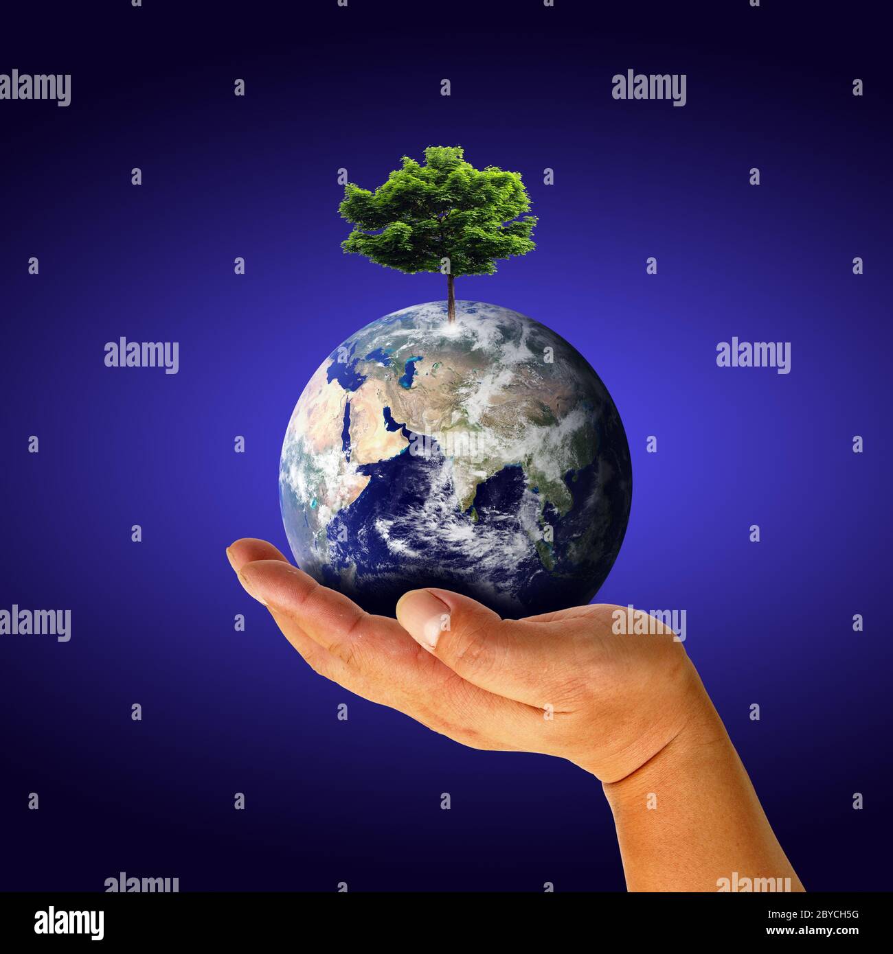 Earth with tree in hand Stock Photo - Alamy