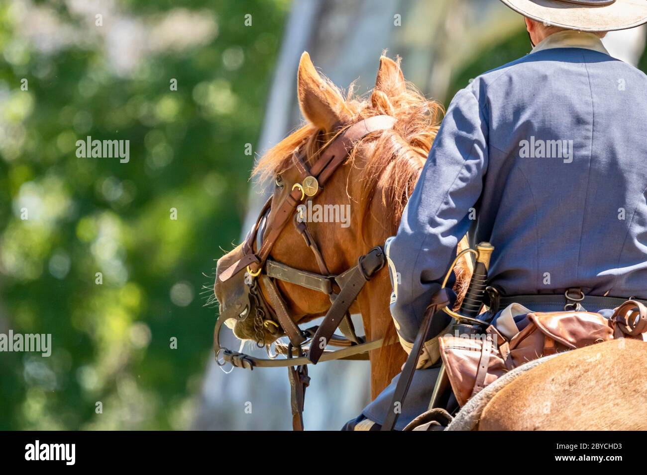 Horse and rider during an American Civil War reenactment Stock Photo