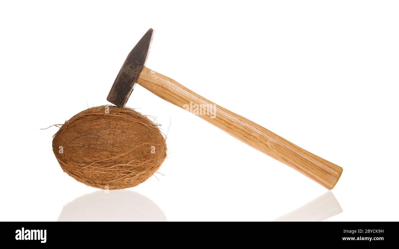 Coconut and a hammer Stock Photo - Alamy
