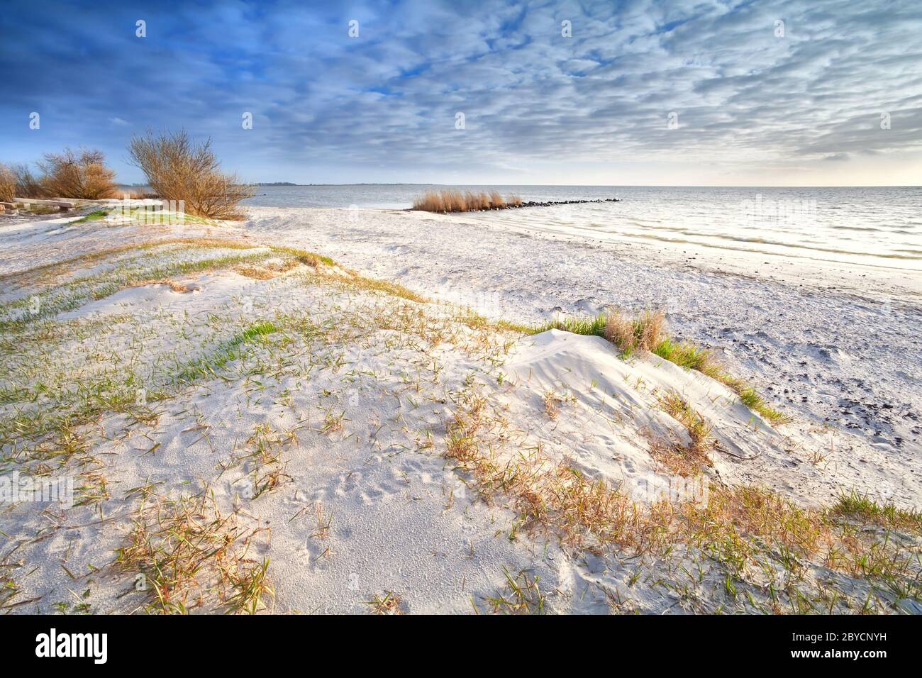 sand dunes on the beach Stock Photo - Alamy