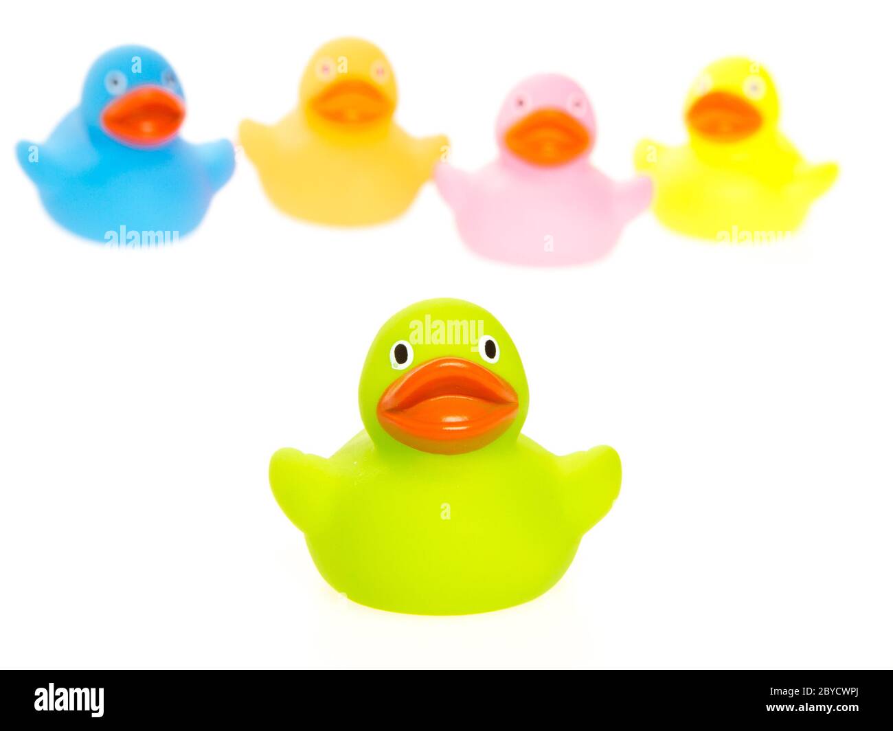 Rubber ducks isolated Stock Photo Alamy