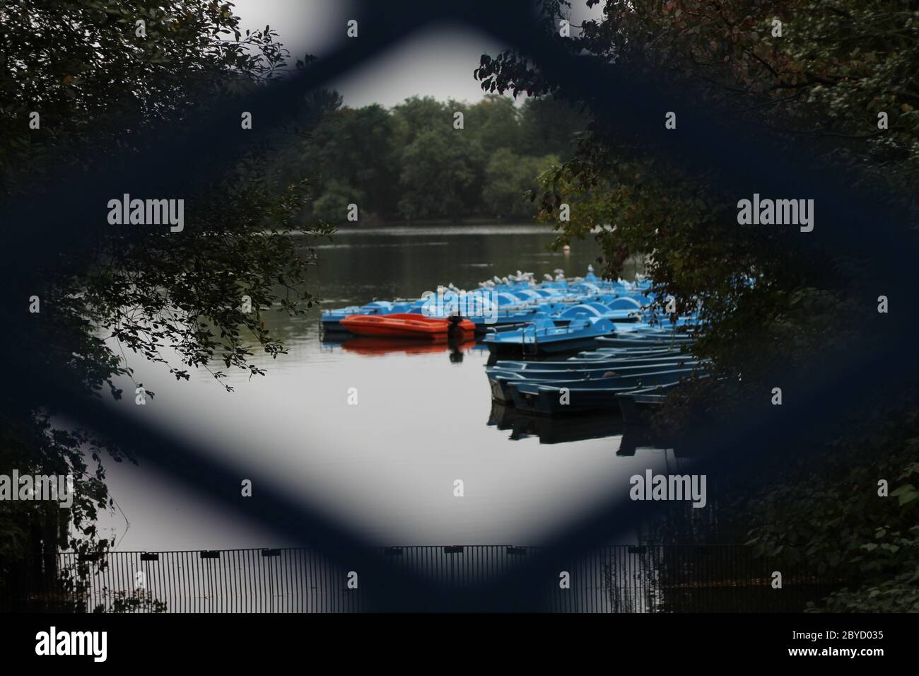 Royal park pedal boat hires stock photography and images Alamy