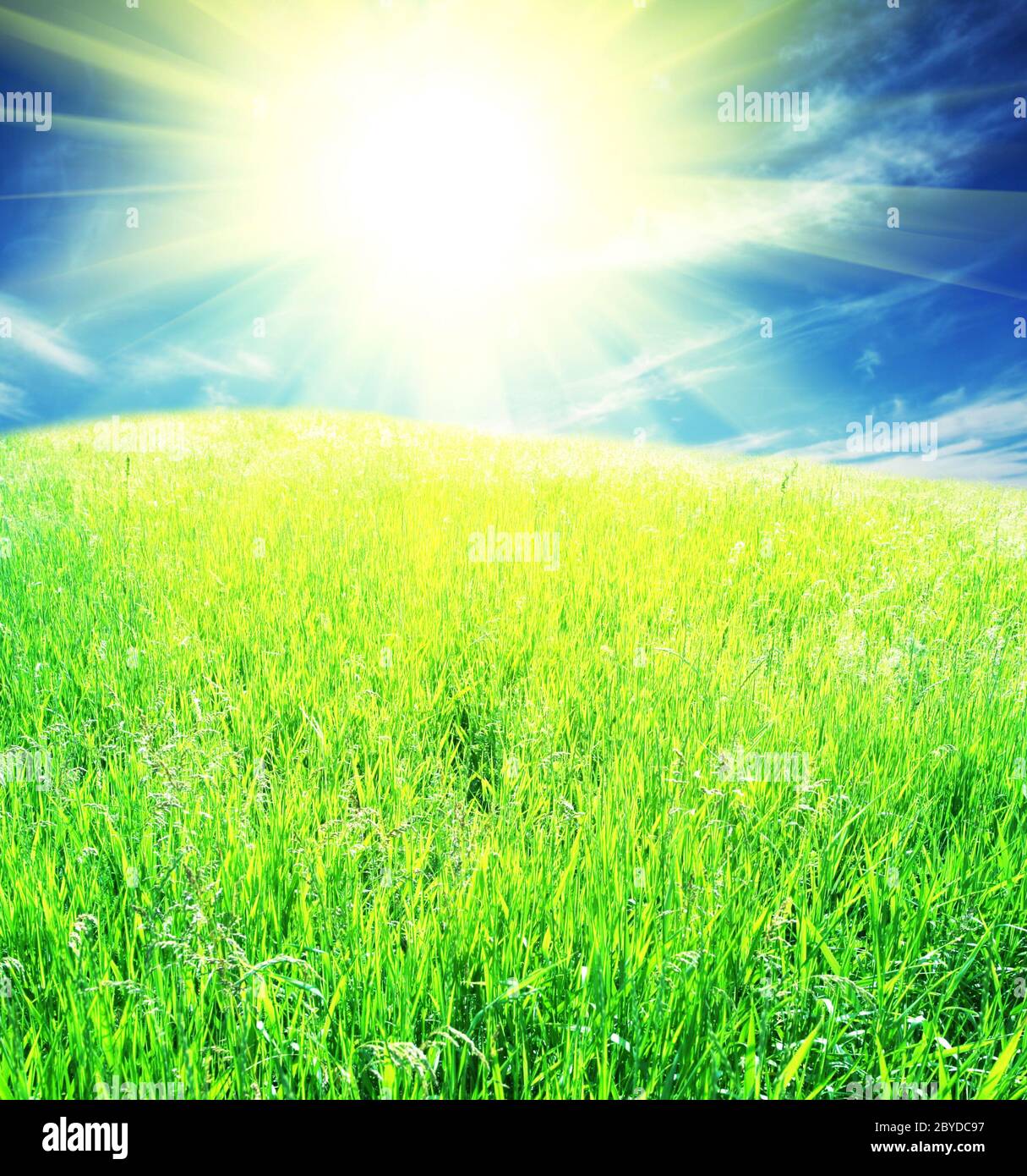Green field sunny hi-res stock photography and images - Alamy