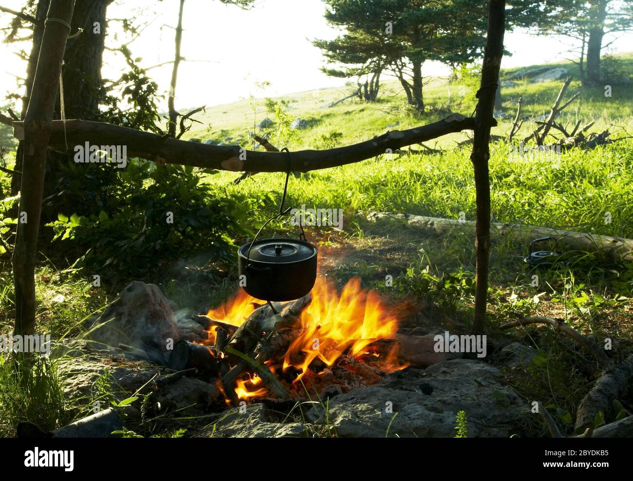 Campfire in forest Stock Photo