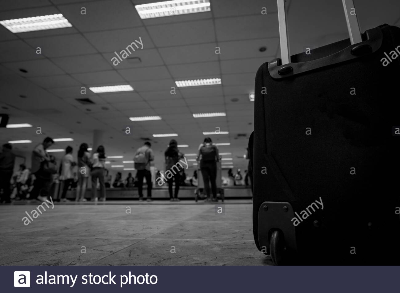 baggage lost in transit