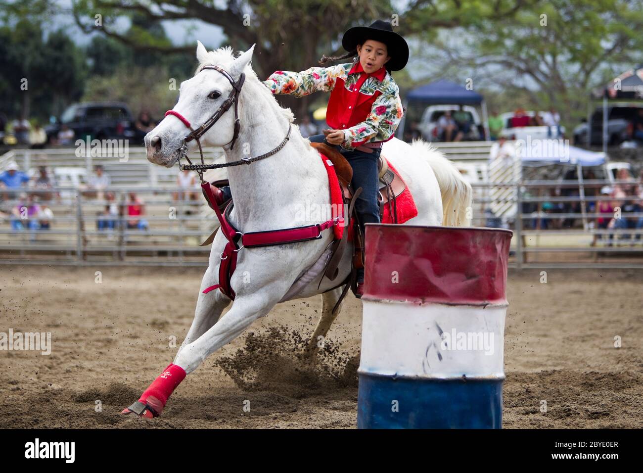 Young girl barrel racer (model released) on white horse (property released) in rodeo competition