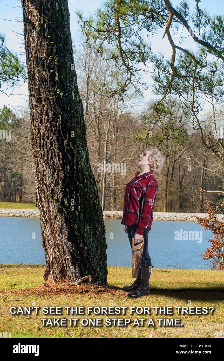 Woman lumberjack hires stock photography and images Alamy