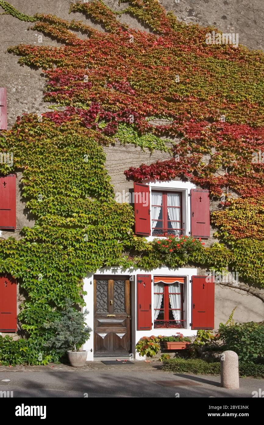 Cosy Small Homes