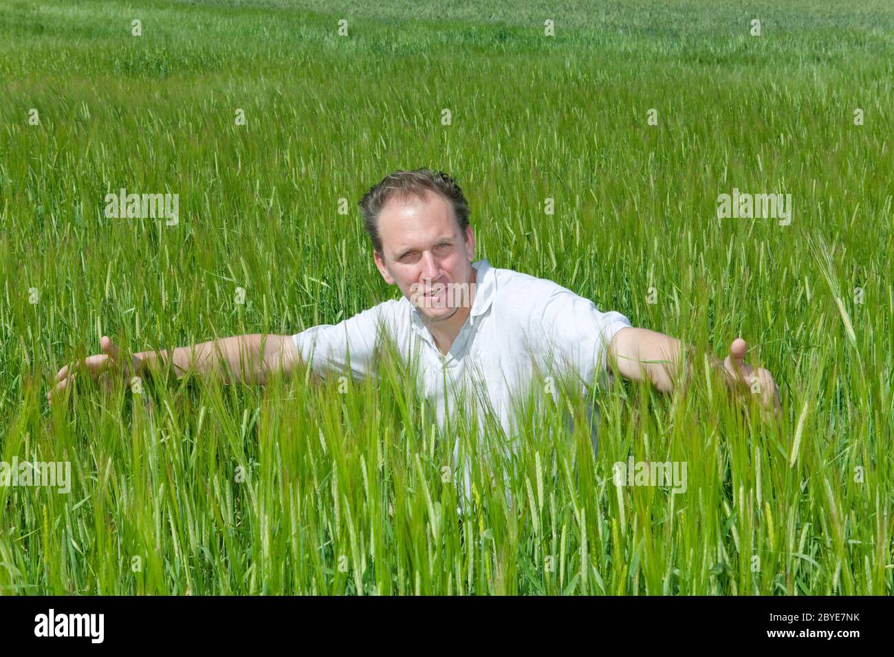 young man in the field of green ears Stock Photo