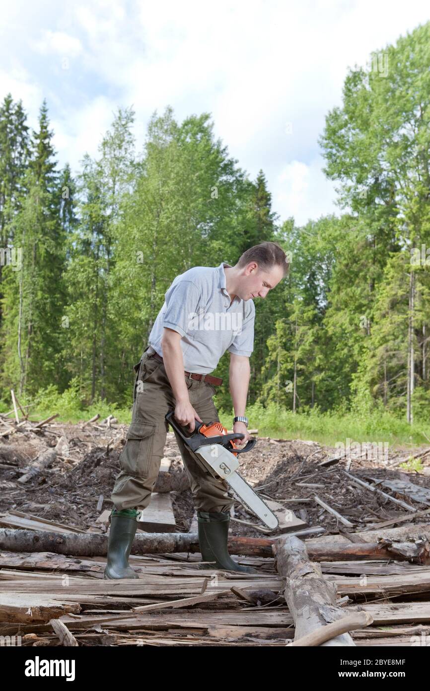 The man in wood saws a tree a chain saw Stock Photo