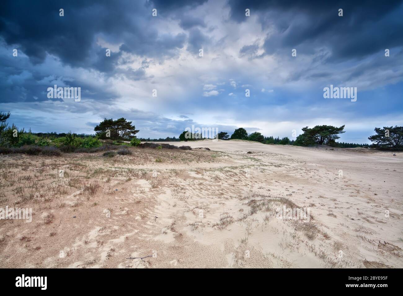 stormy clouds over sand dunes in Drenthe Stock Photo
