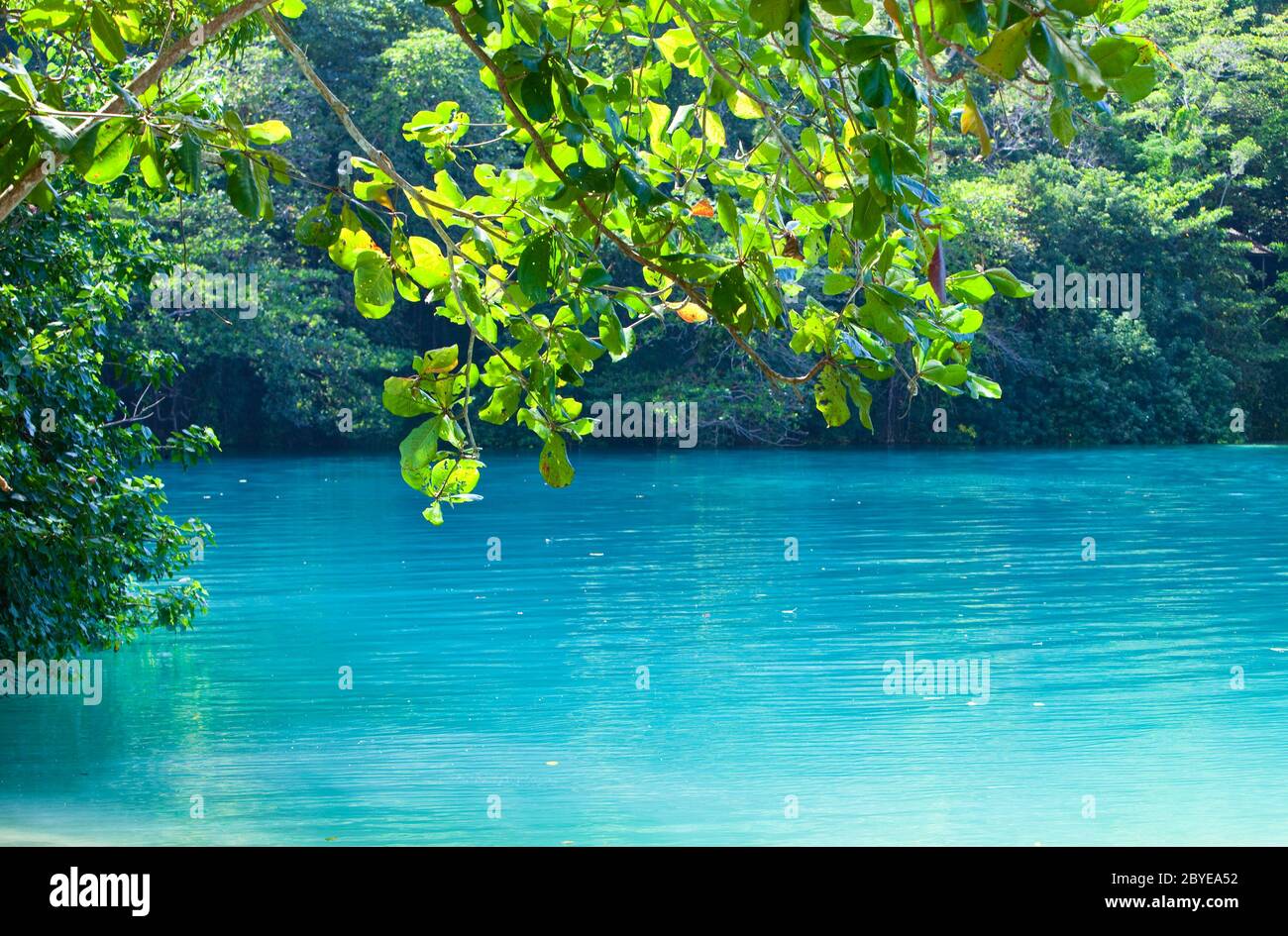 Jamaica A Blue Lagoon Stock Photo Alamy
