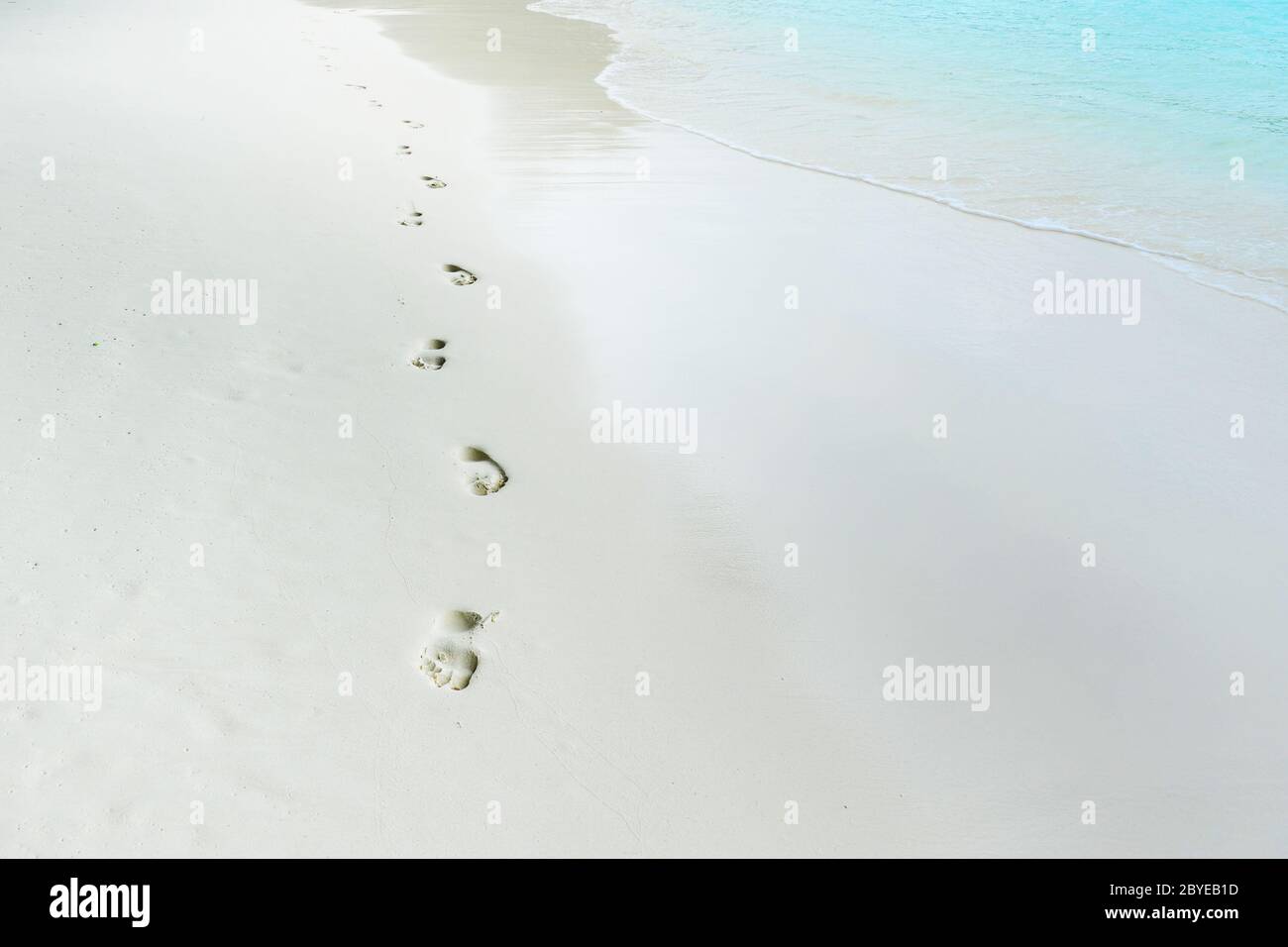 trail barefoot feet in the sand Stock Photo