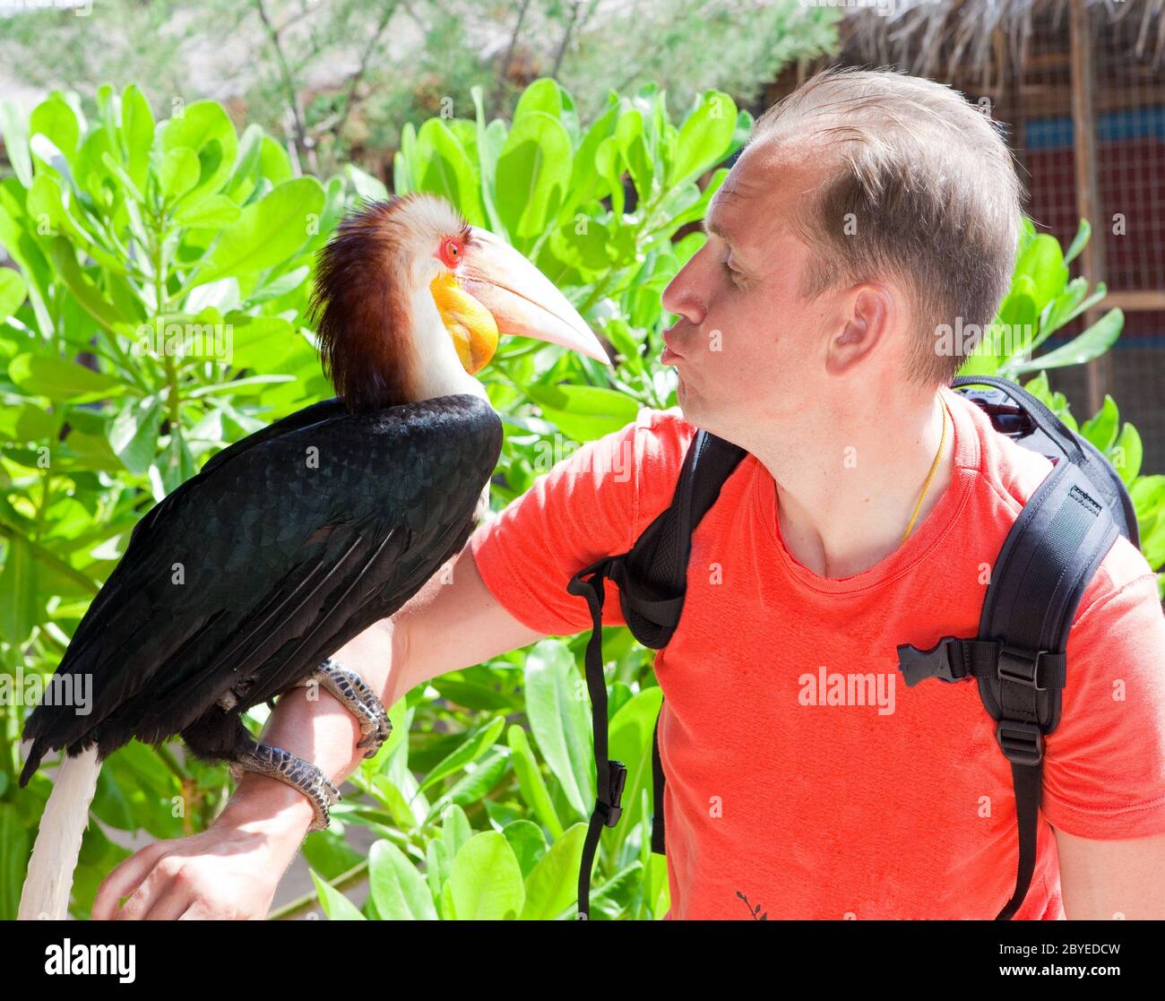 Portrait of the man with a toucan Stock Photo - Alamy